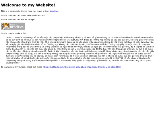 giay-phep-nhap-khau-giay-phep-y-te screenshot