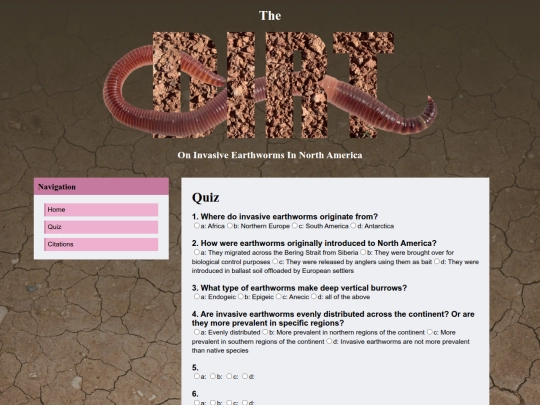 quiz screenshot