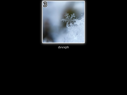 arsenic/bell screenshot