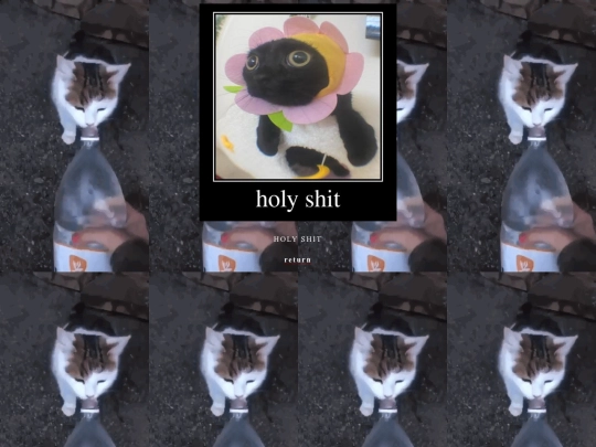 meow screenshot