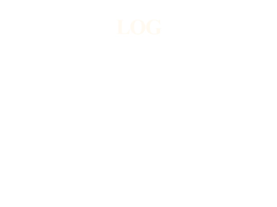 log screenshot