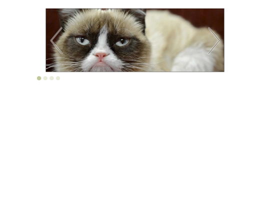 slider jqery screenshot