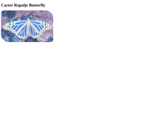 butterfly screenshot