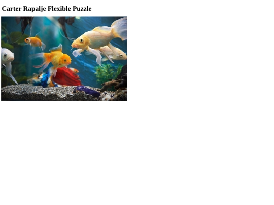 flexible_puzzle screenshot