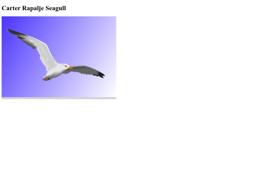 seagull screenshot
