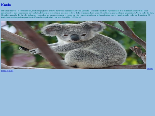 koalaaa screenshot