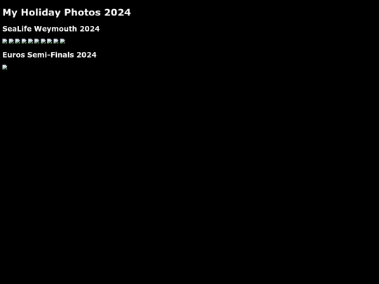 Holiday2024/Holiday2024 screenshot