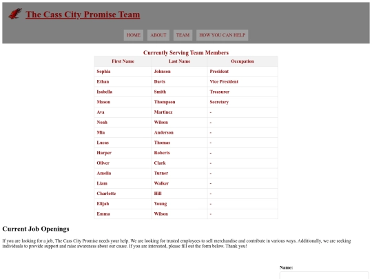 Casscitypromiseteampage screenshot
