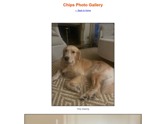 gallery screenshot