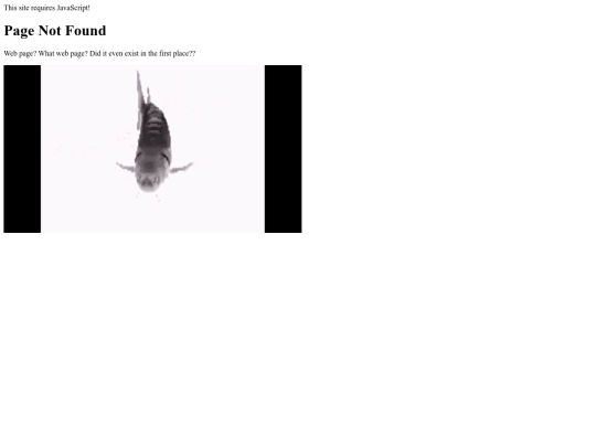 posts/2024-01-25-flight screenshot