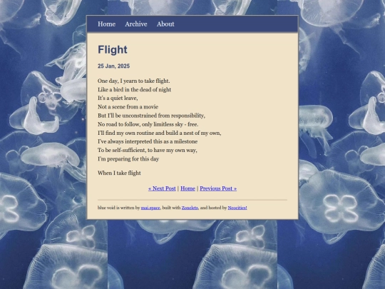 posts/2025-01-25-flight screenshot
