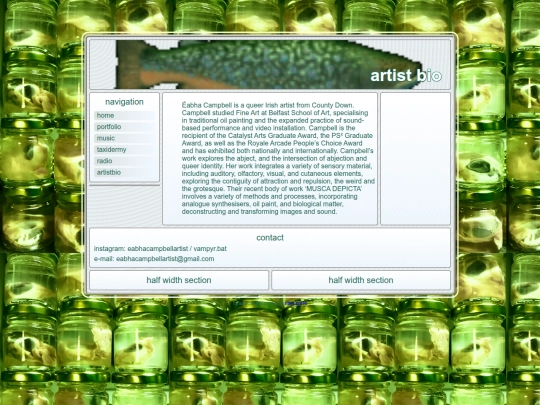 artistbio screenshot