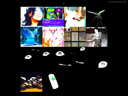 collage screenshot