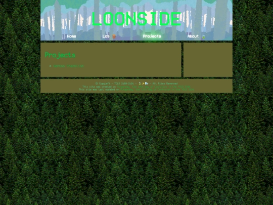 projects screenshot