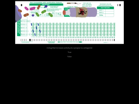 squestion7 screenshot