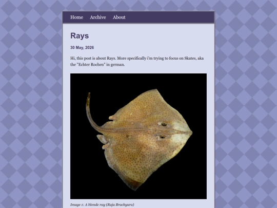 posts/2026-05-30-Rays screenshot