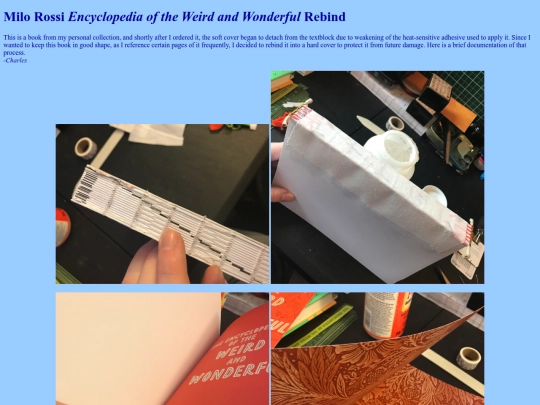 book_repair_projects/mr_encyc_repair screenshot