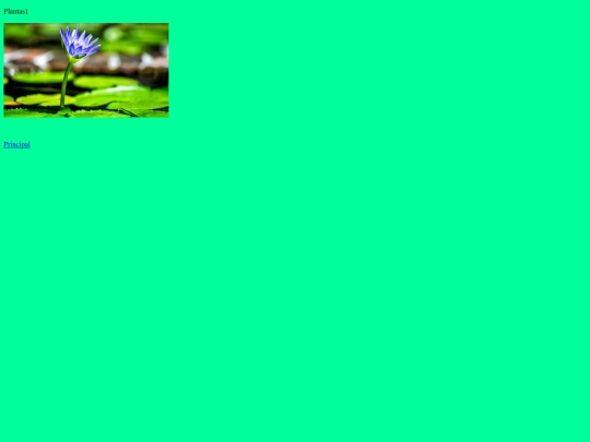Plantas1 screenshot