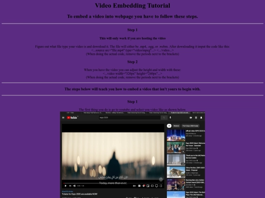 VideoEmedding screenshot
