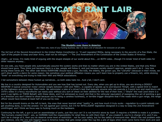 rants2026/guns screenshot