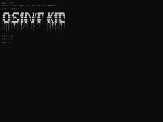 OsintKid screenshot