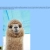 The web site of 13065 avatar