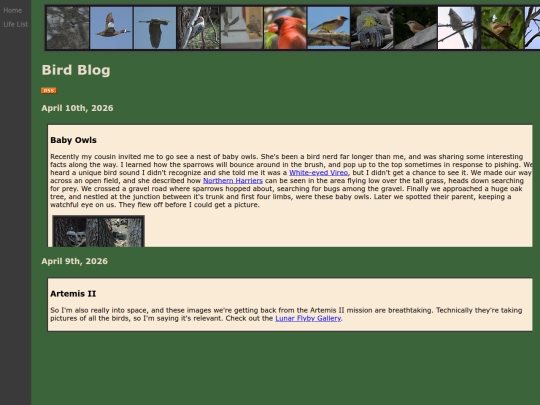 birdblog screenshot