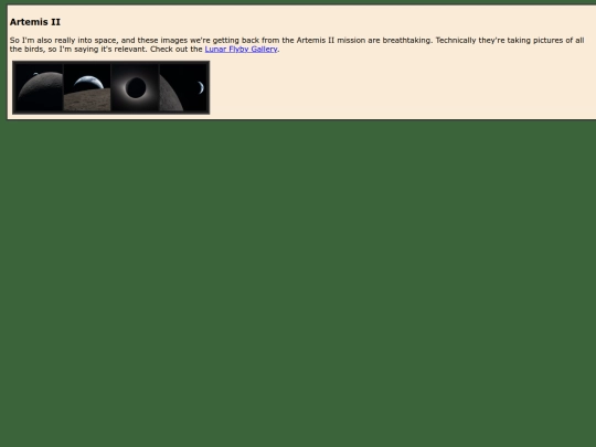 birdblog/posts/04_09_26 screenshot