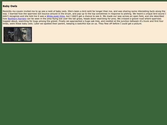 birdblog/posts/04_10_26 screenshot