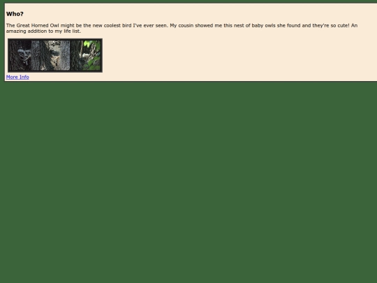 species/great_horned_owl screenshot