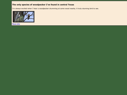 species/red-bellied_woodpecker screenshot