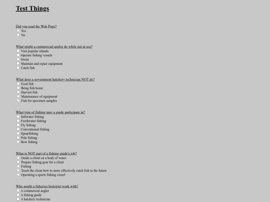 First Website/First Website Form screenshot