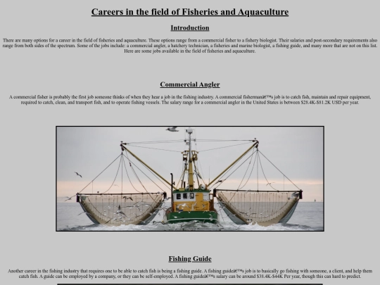 First Website/First Website screenshot