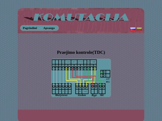 Praejimokontrole_lt screenshot
