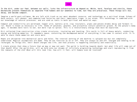 artiststatement screenshot