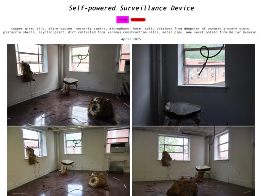 selfsurv screenshot