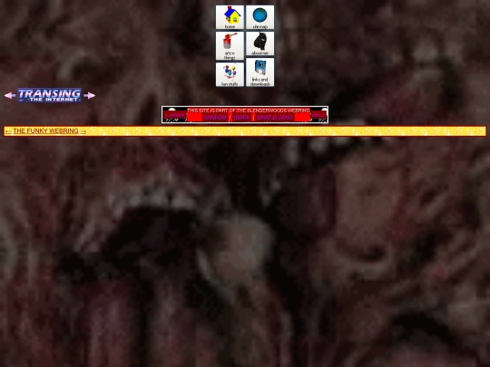 iframes/nav screenshot