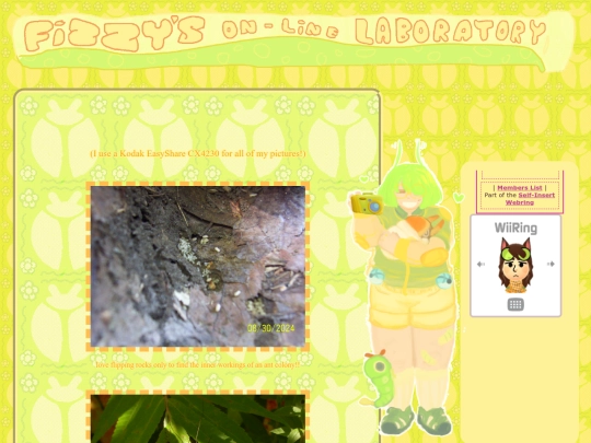 bugimages3 screenshot