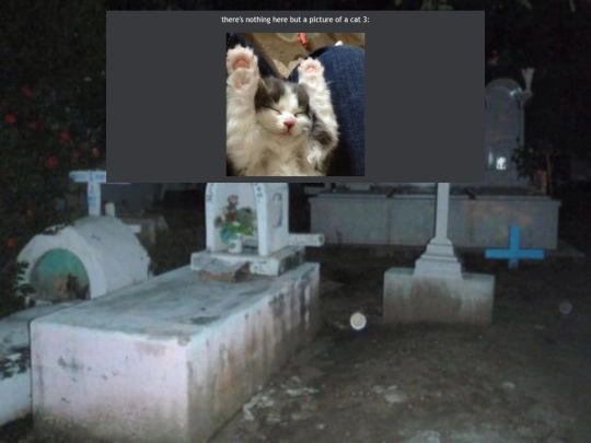umm yeah/getaloadofthisguy screenshot