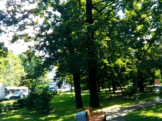 TikTok screenshot