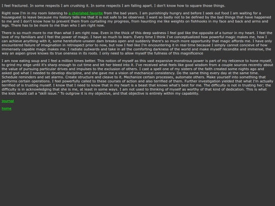 journal/2.28.26 screenshot