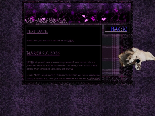 blog screenshot