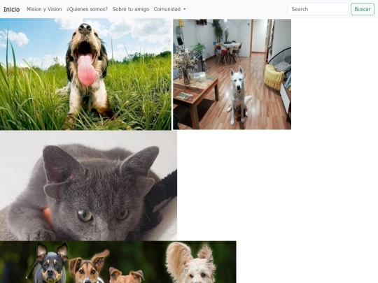 galeria screenshot