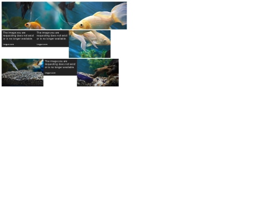 html docs/flexpuzzle screenshot