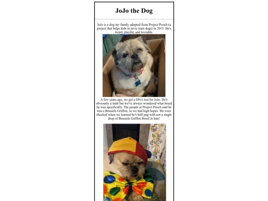 html docs/responsiveblog screenshot
