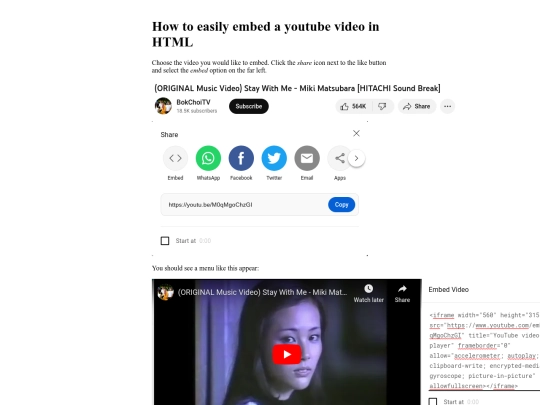videoembed screenshot