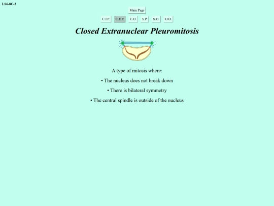 closed-extranuclear-pleuromitosis screenshot