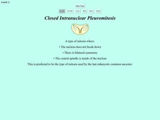 closed-intranuclear-pleuromitosis screenshot
