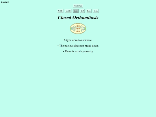 closed-orthomitosis screenshot