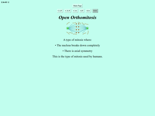 open-orthomitosis screenshot
